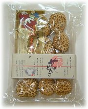 天白 花どんこ
