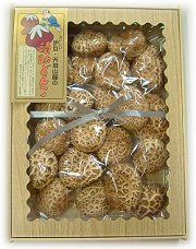 ご進物 花どんこ(大粒)