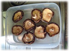 適当な大きさのタッパに水と椎茸を入れる