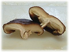 まだ戻っていない椎茸